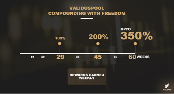 restricted communication by Validus at Mount Smart Stadium - Validuspool compounding with freedom 