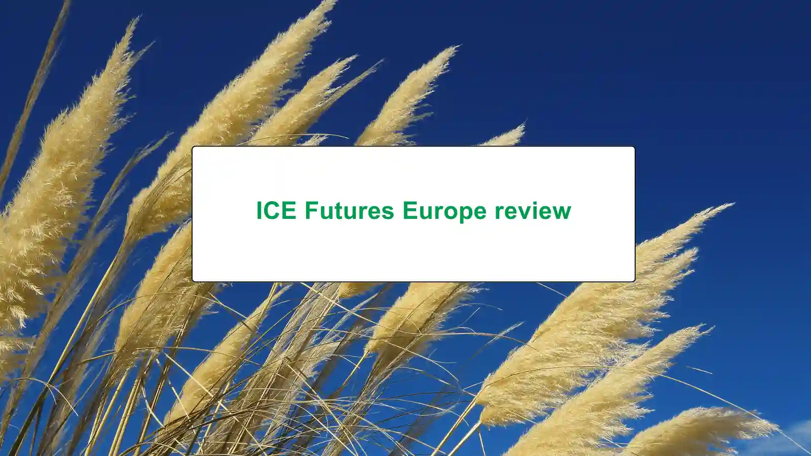 Ice Futures Europe review 