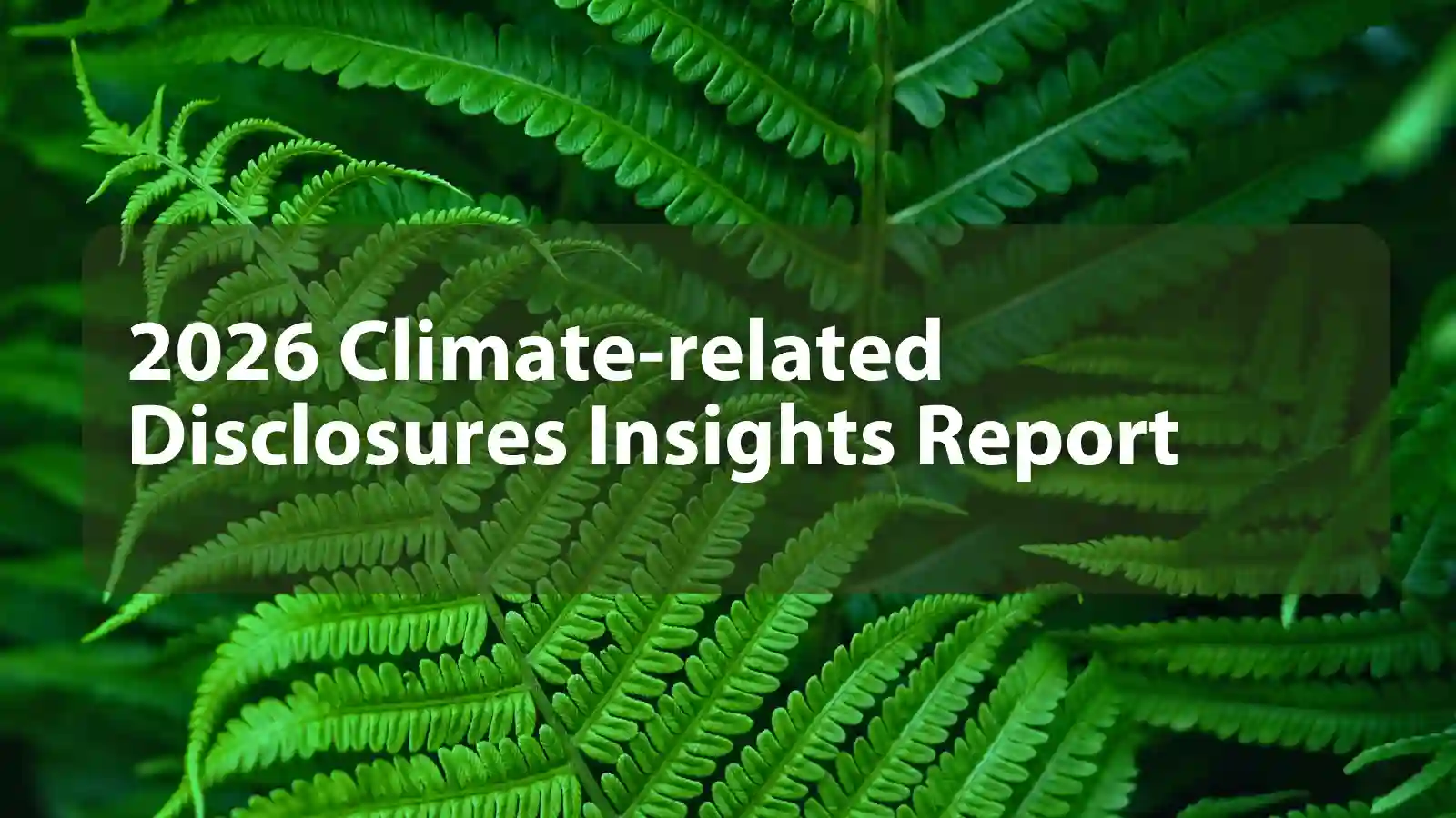 2026 Climate-related Disclosures Insights Report