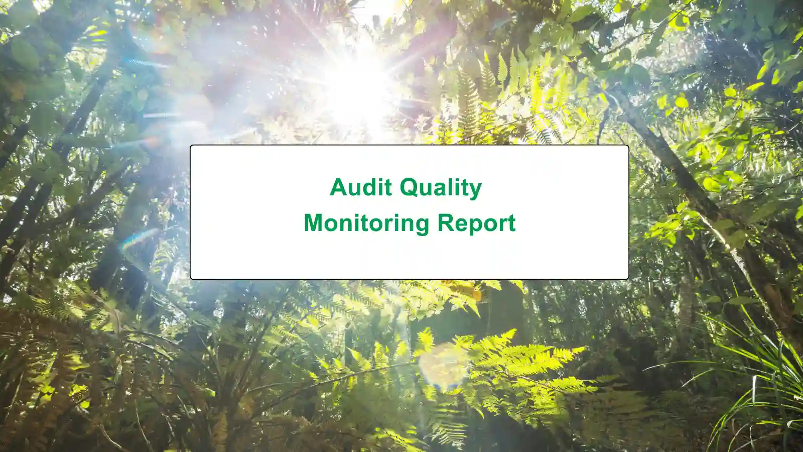 Audit Quality Monitoring Report