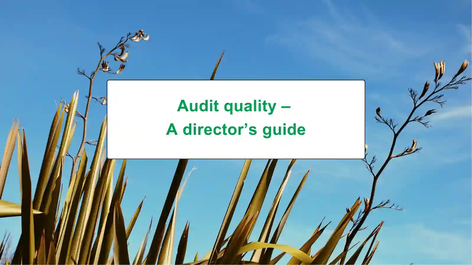 Audit quality – A director’s guide