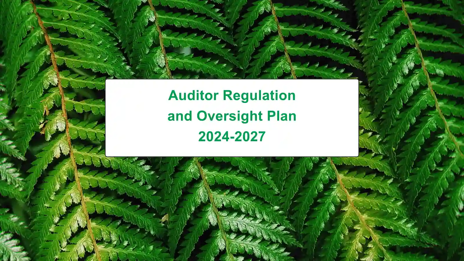 Auditor regulation and oversight plan
