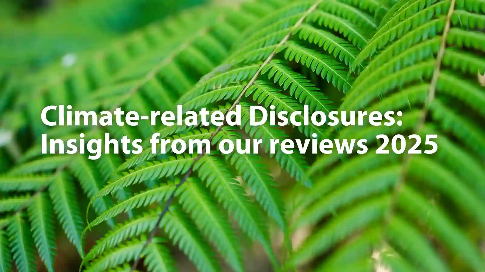 Climate-related Disclosures: Insights from our reviews 2025