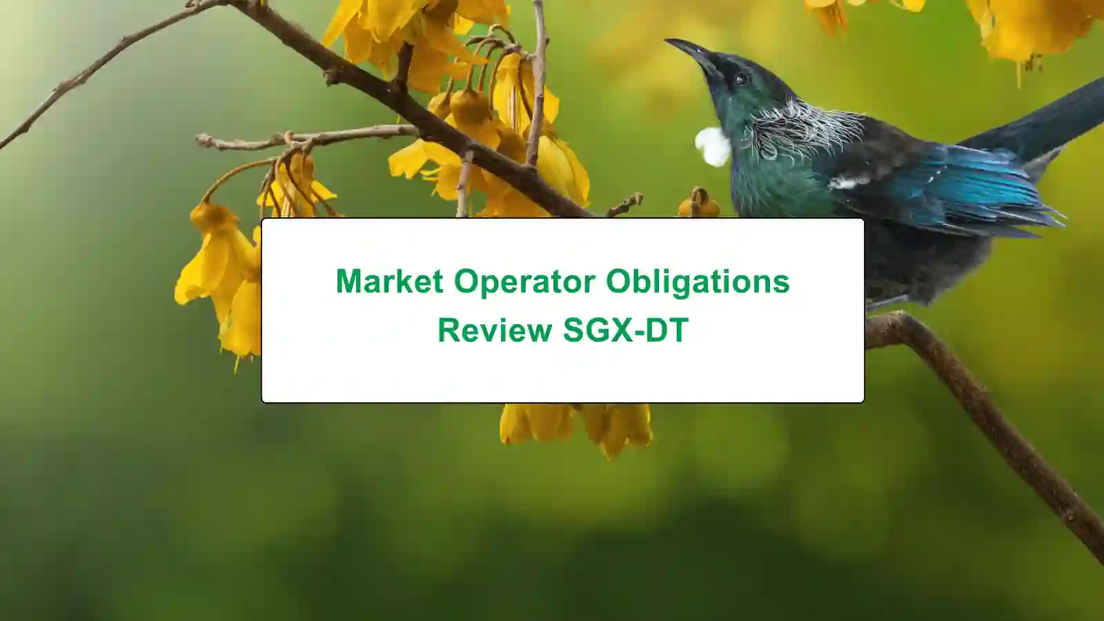 SGX-DT review report