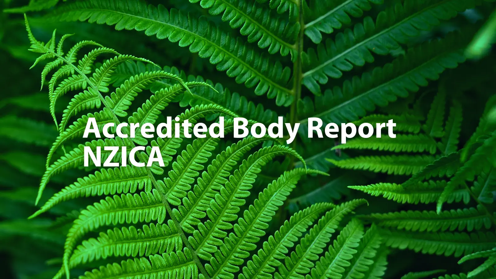 Accredited Body Report – New Zealand Institute of Chartered Accountants 