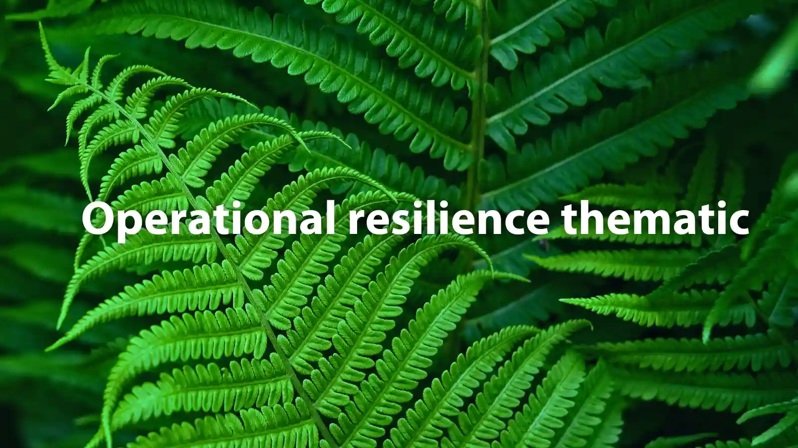 Operational resilience thematic: findings and insights  
