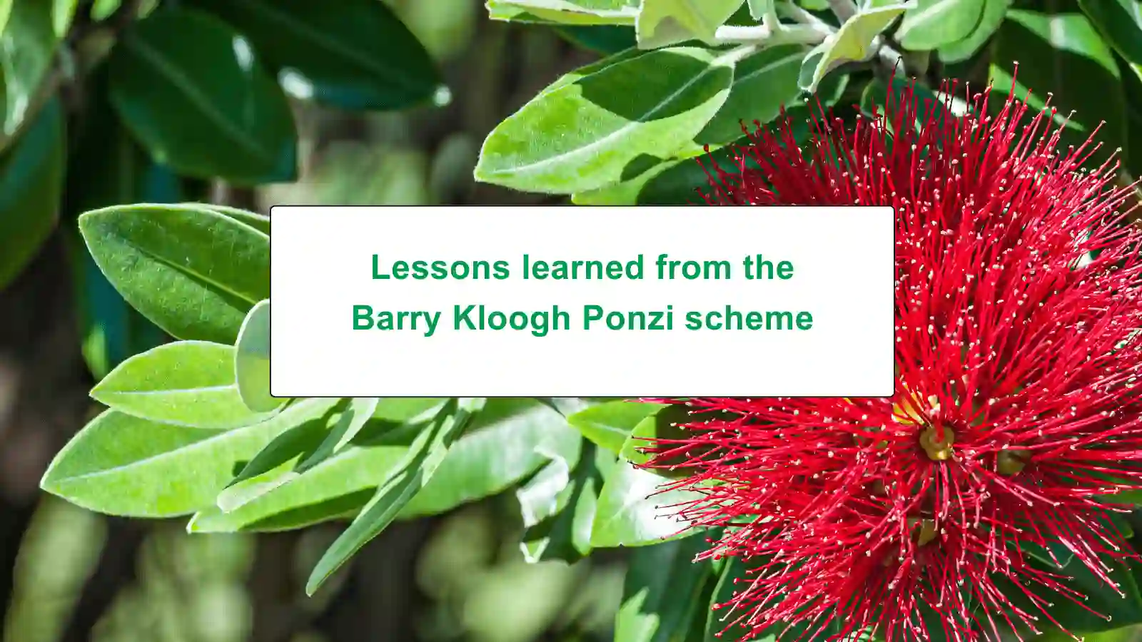 Lessons learned from the Barry Kloogh Ponzi scheme