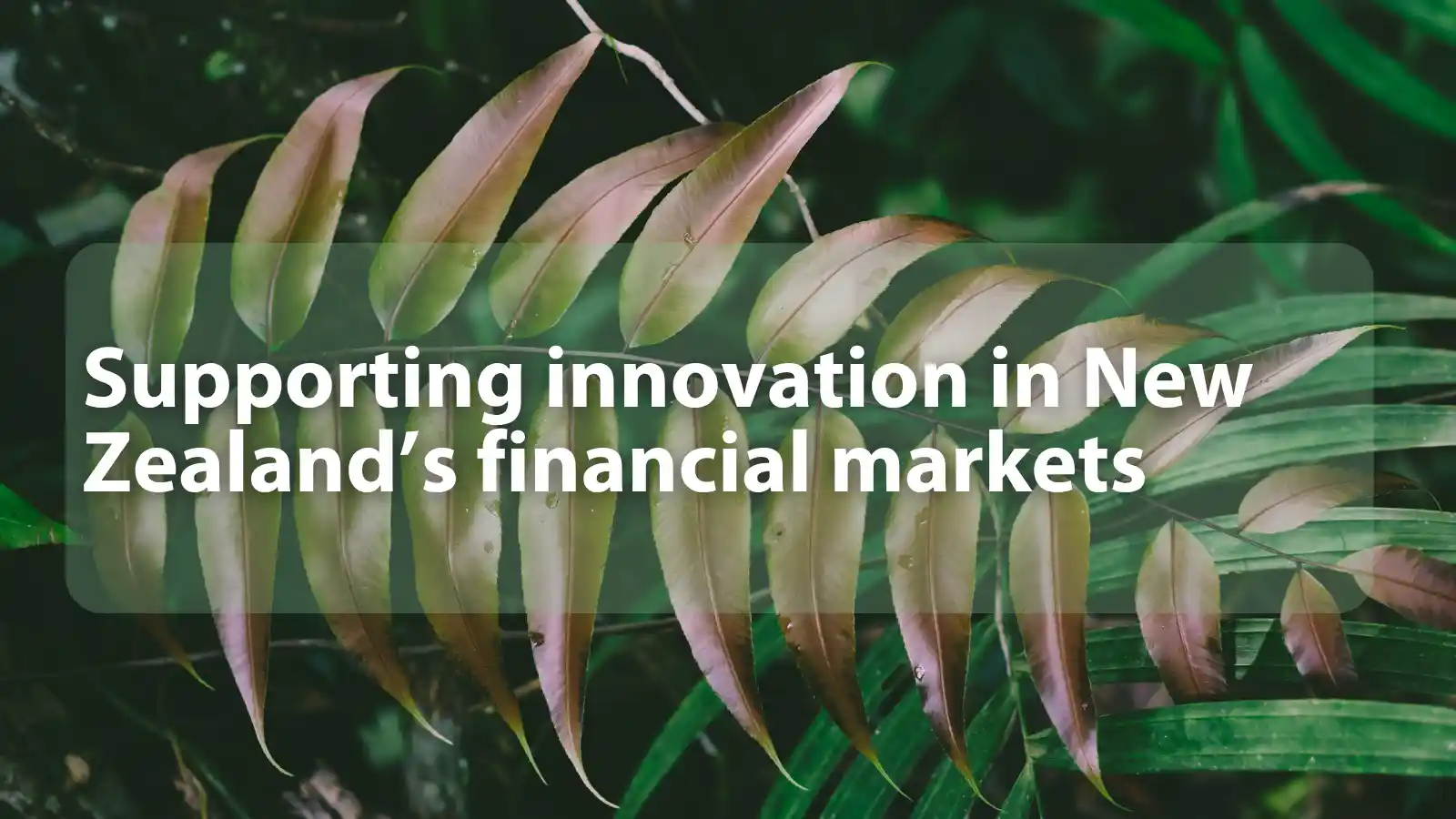 Supporting innovation in New Zealand’s financial markets