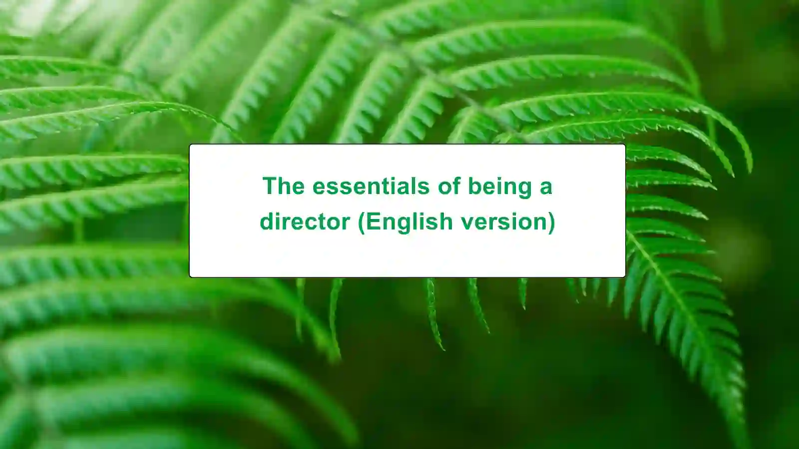 The essentials of being a director (English version)