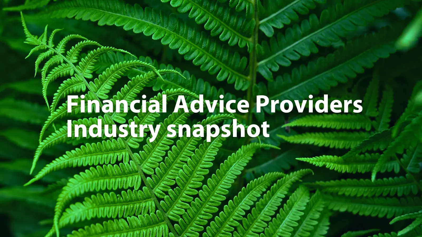 Financial Advice Providers Industry snapshot