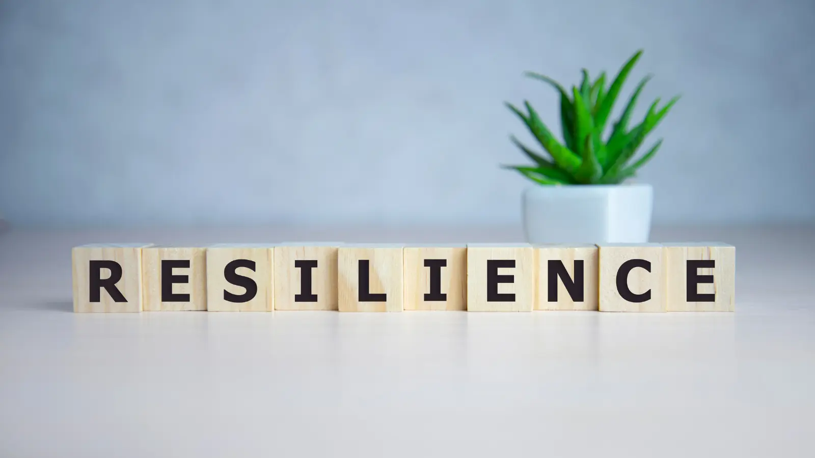 Thumbnail image using for operational resilience survey.